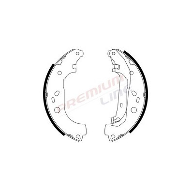 T24_SERIE GANASCE FRENO POST  (228/6X42)