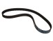 CINGHIA DENTATA_94399