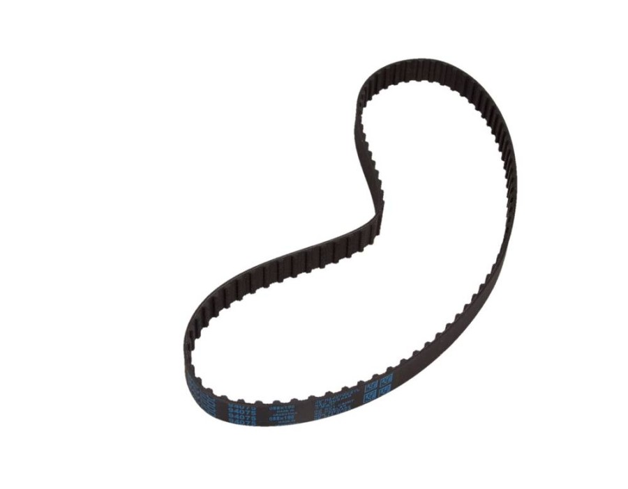 CINGHIA POLY-V_94075