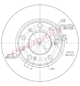 T24_COPPIA DISCHI FRENO DIAM 256 PIENO