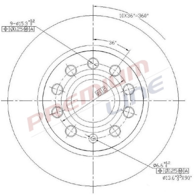 T24_COPPIA DISCHI FRENO DIAM 255 PIENO