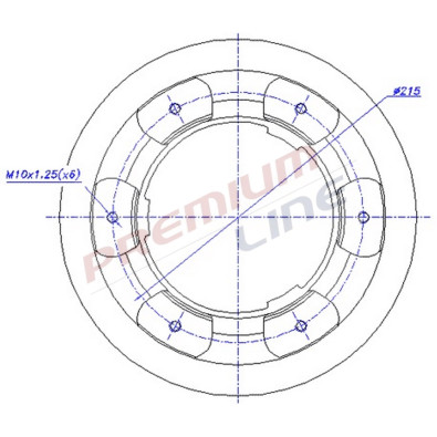 T24_COPPIA DISCHI FRENO DIAM 306 PIENO OE 42471150