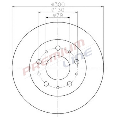 T24_COPPIA DISCHI FRENO DIAM  300 PIENOOE 51740250