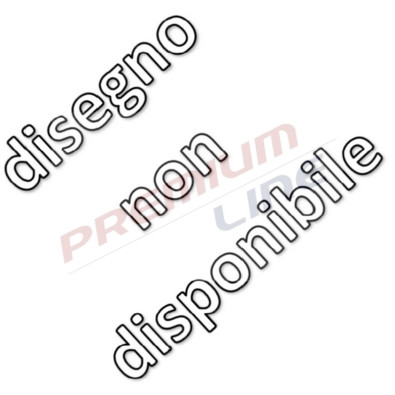 T24_COPPIA DISCHI FRENO DIAM 322 VENTILATO OE 402069X407