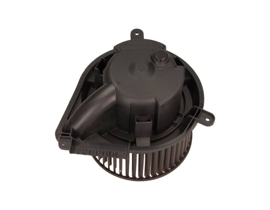 CINGHIA POLY-V_0028301508/MG