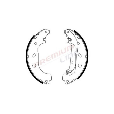 T24_SERIE GANASCE FRENO POST  (228/6X58)