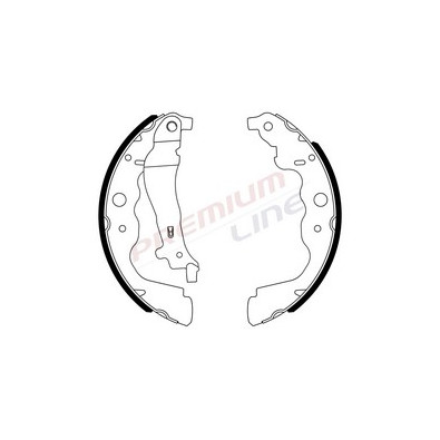 T24_SERIE GANASCE FRENO POST (228/6X42)