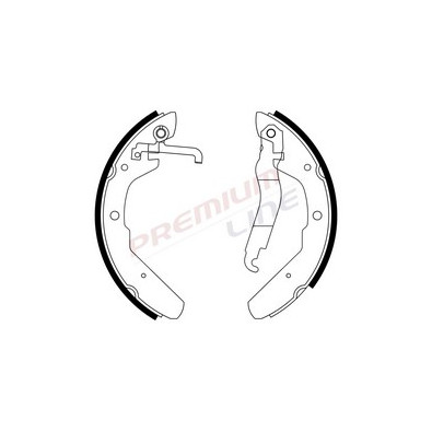 T24_SERIE GANASCE FRENO POST (252X56)