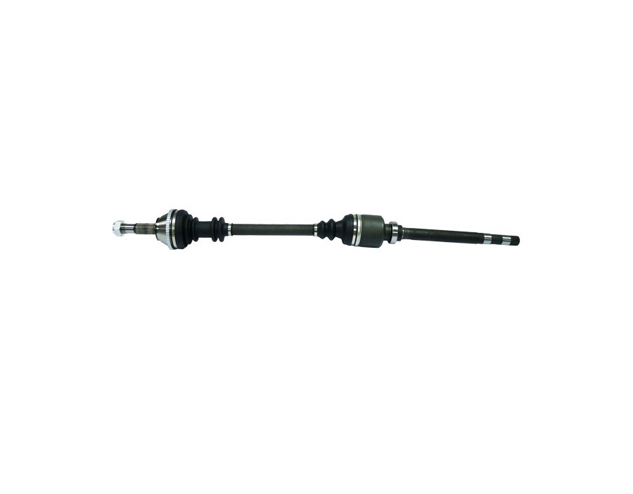 BRACCIO OSCILLANTE, SOSPENSIONE RUOTA_VKJC4507