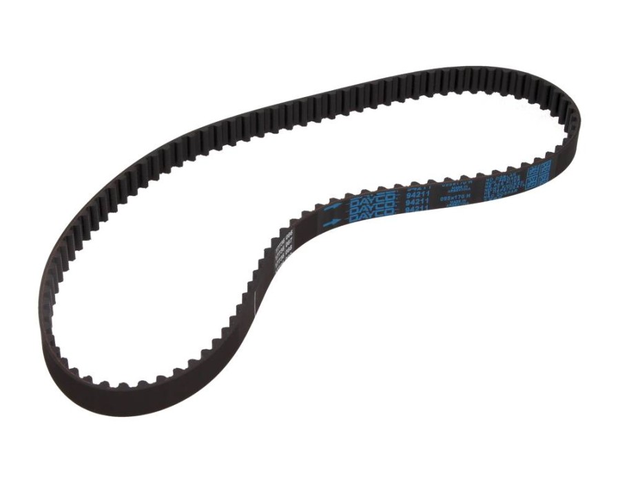 CINGHIA POLY-V_94211