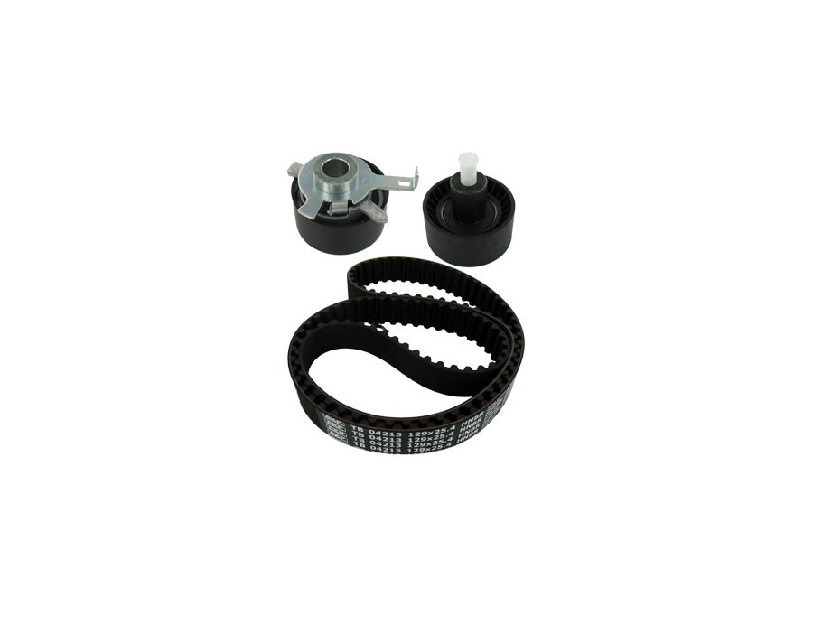 GALOPPINO/GUIDACINGHIA, CINGHIA POLY-V_VKMA04214