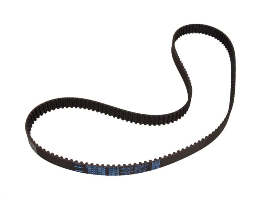 CINGHIA POLY-V_94675