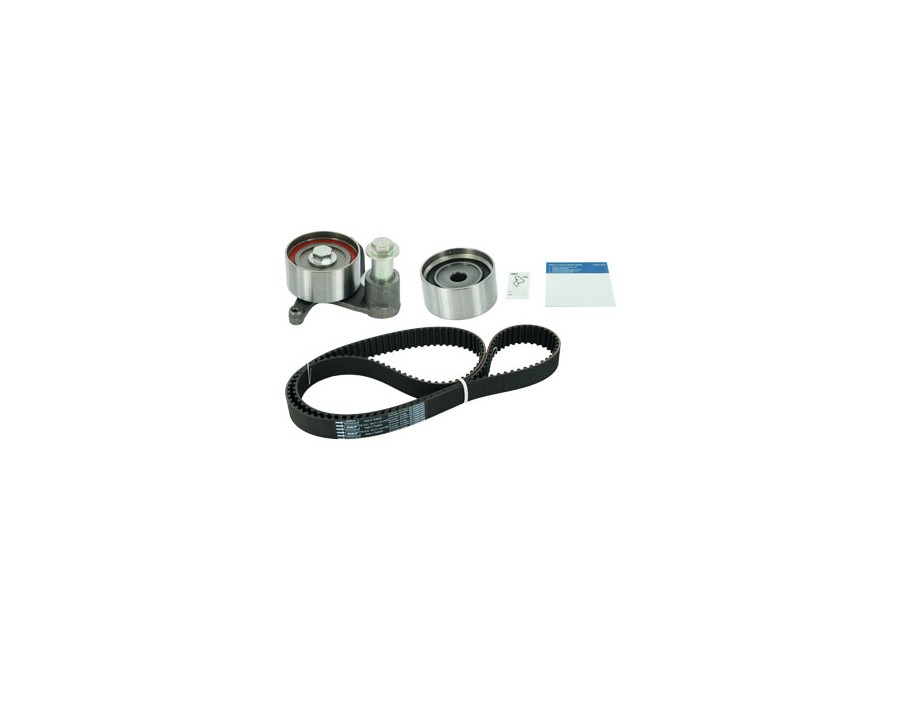 CINGHIA POLY-V_VKMA91021