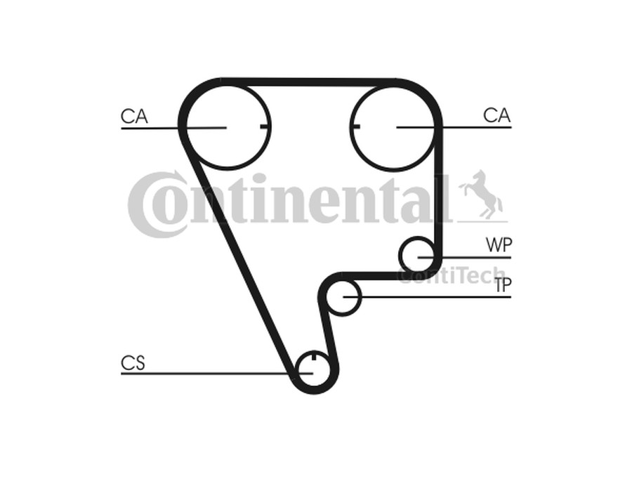 BRACCIO OSCILLANTE, SOSPENSIONE RUOTA_CT794