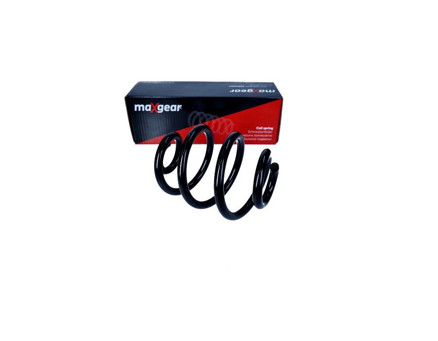 PARAOLIO, ALBERO A CAMME_60-0043