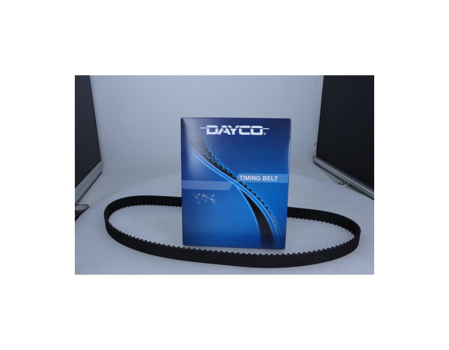 CINGHIA POLY-V_94909