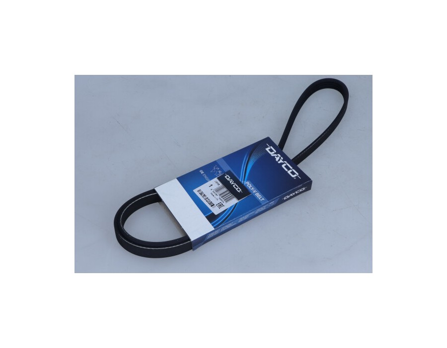 CINGHIA DENTATA_4PK1238DAY