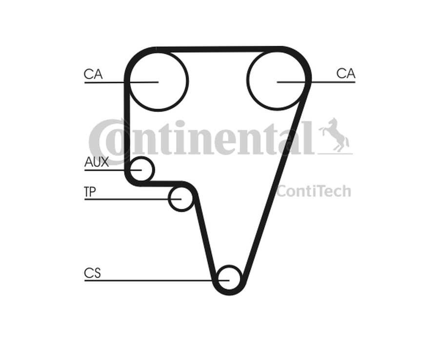 CINGHIA POLY-V_CT575