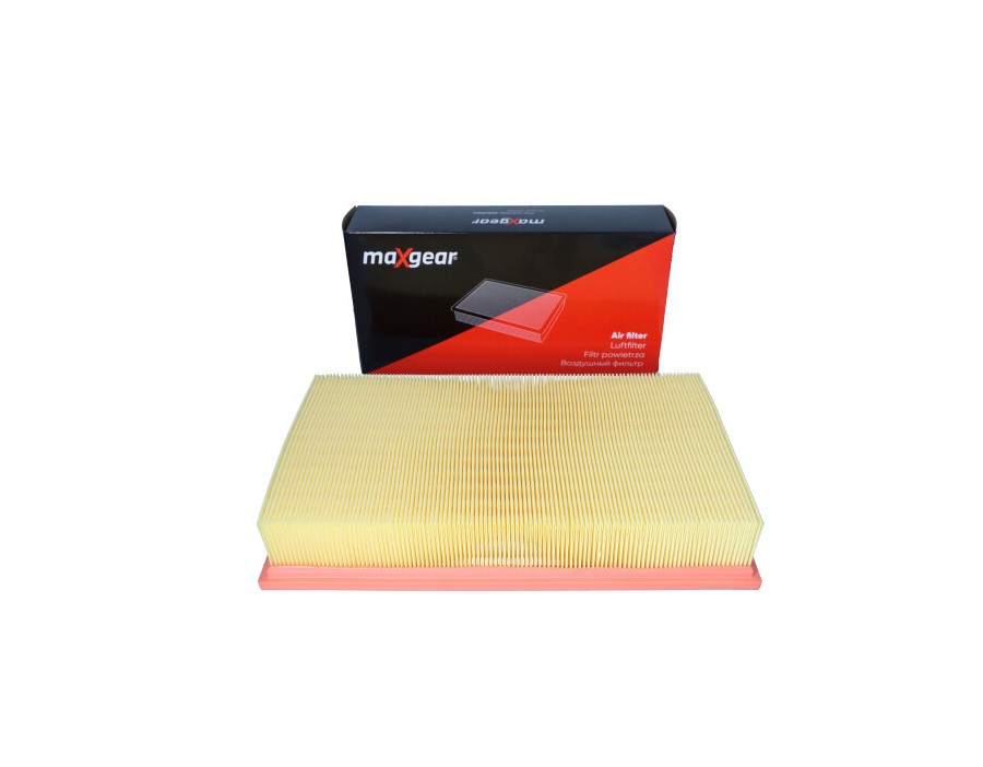 KIT CINGHIE DENTATE_AF-9364