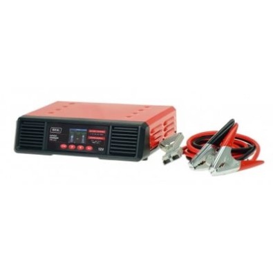 PROSTOWNIK EXPERT CHARGER 100 LCD