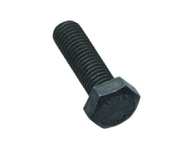 RUBA Z BEM KONIERZOWYM IVECO