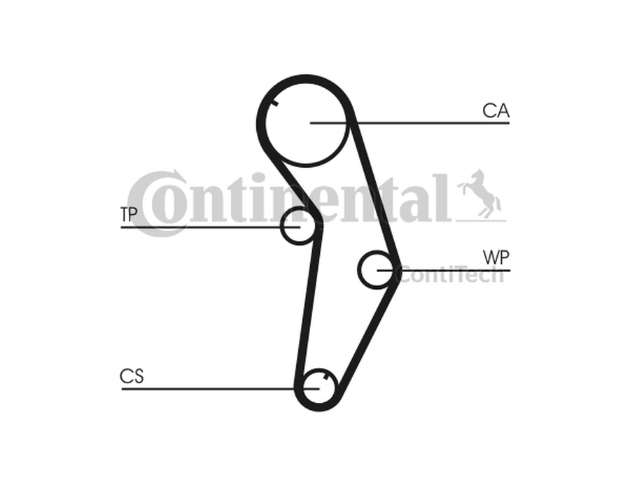 FLESSIBILE DEL FRENO_CT841K1
