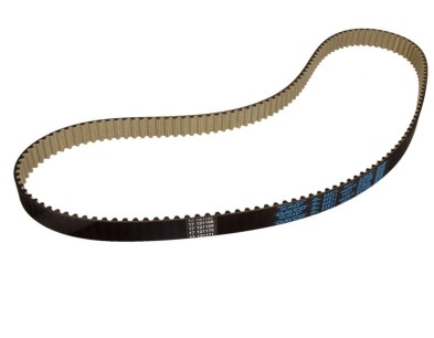 Cinghia dentata