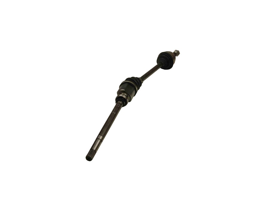 CINGHIA POLY-V_27-0069MG