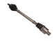 BRACCIO TENDITORE, CINGHIA POLY-V_27-0324MG