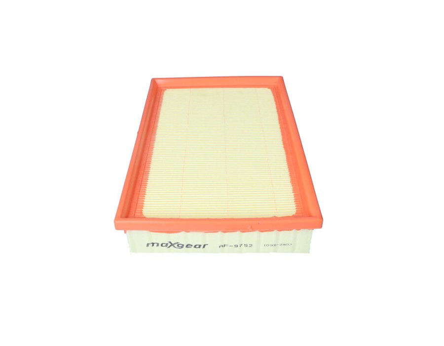 KIT CINGHIE DENTATE_AF-9752