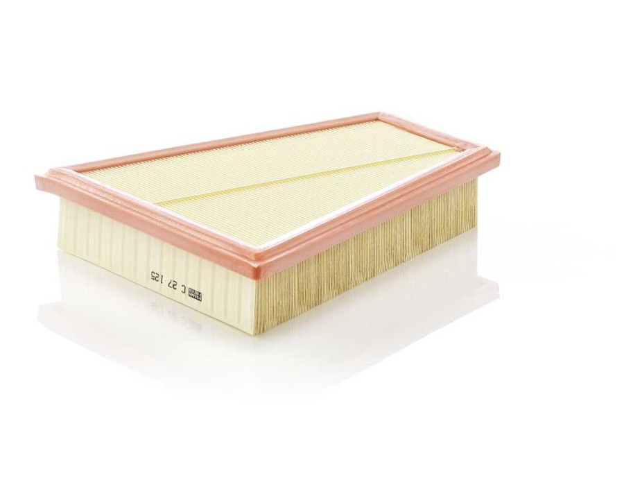 CINGHIA POLY-V_C27125