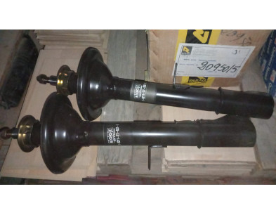 Coppia ammortizzatori post dx e sx Delta 80-86 - Boge