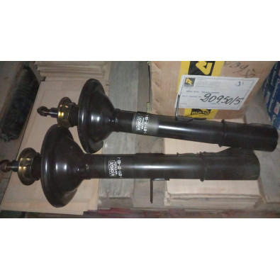 Coppia ammortizzatori post dx e sx Delta 80-86 - Boge