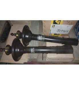 Coppia ammortizzatori post dx e sx Delta 80-86 - Boge