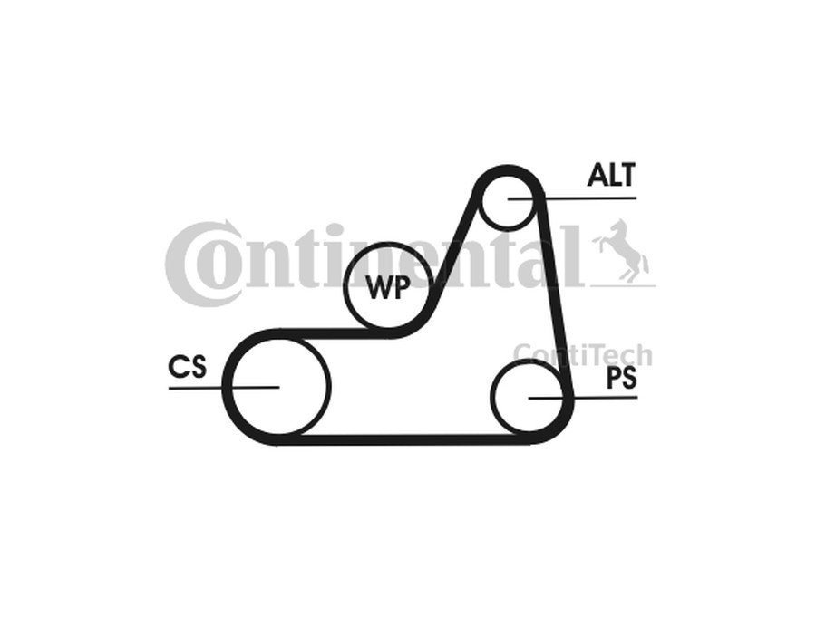 ASTA/PUNTONE, STABILIZZATORE_6PK1042ELAST