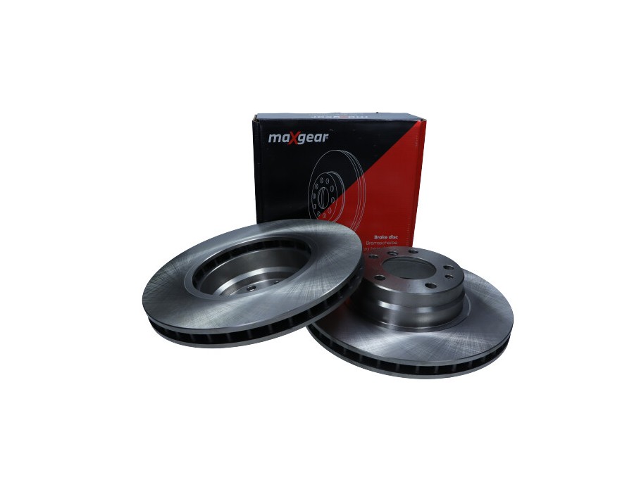 CINGHIA DENTATA_19-1254