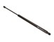 AMMORTIZATORE PNEUMATICO, COFANO BAGAGLI /VANO CARICO_GS0436