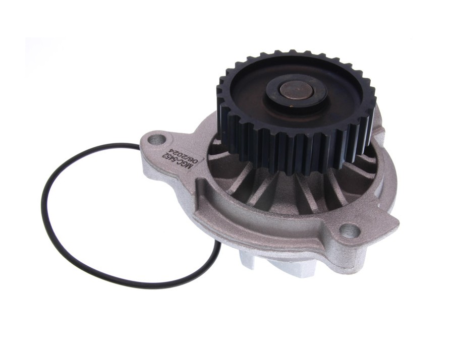 CINGHIA DENTATA_MGC-5452