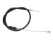 GALOPPINO/GUIDACINGHIA, CINGHIA POLY-V_32-0291