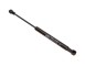 POMPA ACQUA_GS0633
