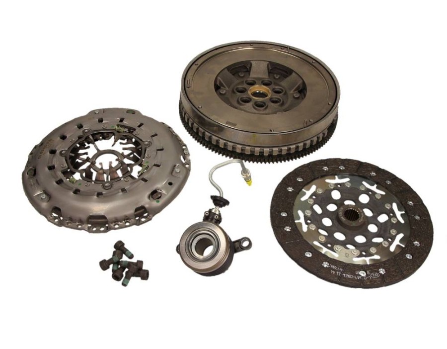 GALOPPINO/GUIDACINGHIA, CINGHIA POLY-V_600006800