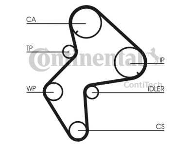 Pompa acqua + Kit cinghie dentate