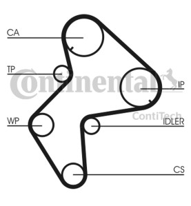 Pompa acqua + Kit cinghie dentate