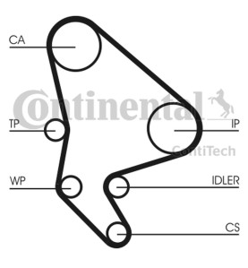 Pompa acqua + Kit cinghie dentate