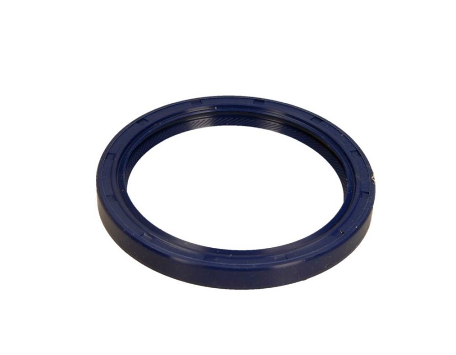 CINGHIA DENTATA_81-53321-00