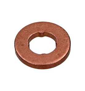 Anello tenuta