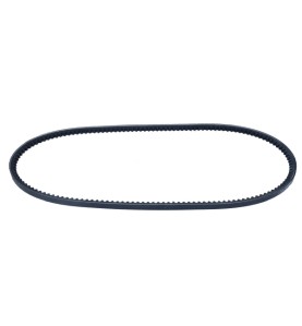 Cinghia trapezoidale