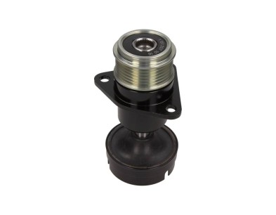 Dispositivo ruota libera alternatore