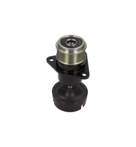 Dispositivo ruota libera alternatore