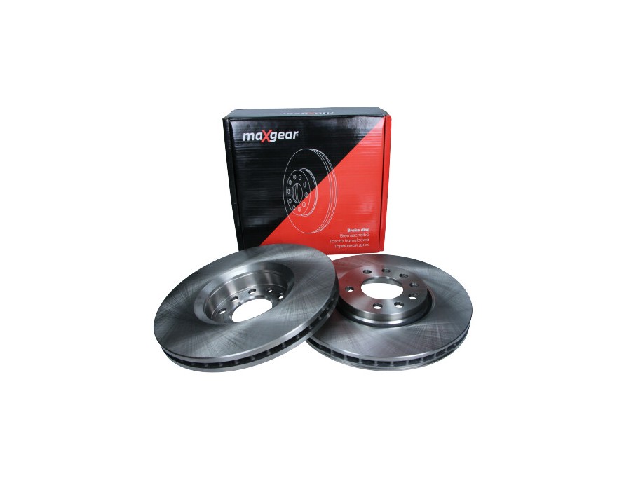 CINGHIA DENTATA_19-1832